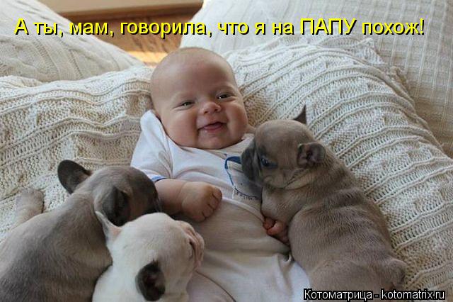 Котоматрица: А ты, мам, говорила, что я на ПАПУ похож!