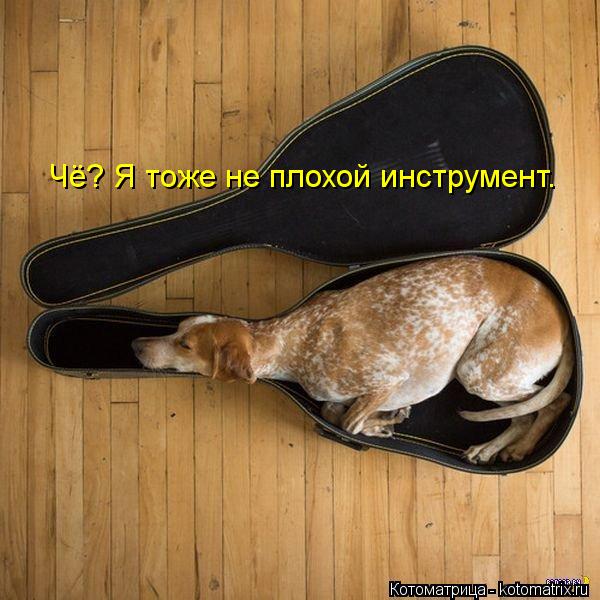 Котоматрица: Чё? Я тоже не плохой инструмент.