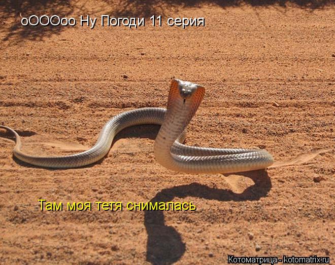 Котоматрица: оОООоо Ну Погоди 11 серия  Там моя тетя снималась
