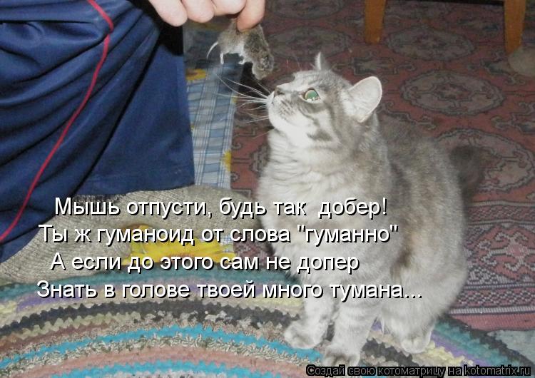 Котоматрица: Мышь отпусти, будь так  добер! Ты ж гуманоид от слова "гуманно" А если до этого сам не допер Знать в голове твоей много тумана...