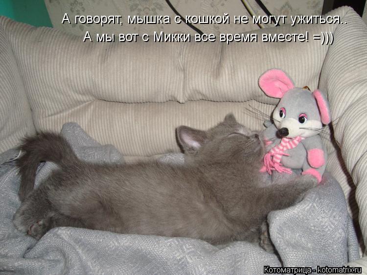 Котоматрица: А говорят, мышка с кошкой не могут ужиться.. А мы вот с Микки все время вместе! =)))