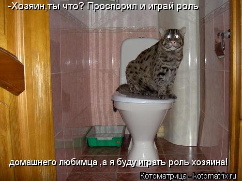 -Хозяин,ты что? Проспорил и играй роль домашнего любимца ,а я буду играть роль хозяина!... Котоматрица: -Хозяин,ты что? Проспорил и играй роль домашнего любимца ,а я буду играть роль хозяина!
