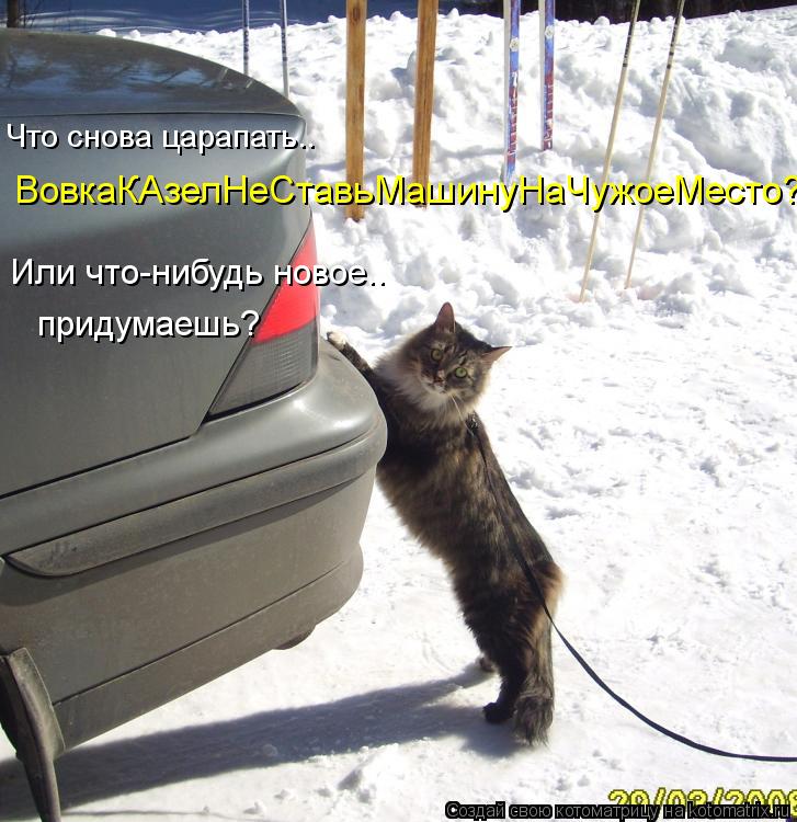 Котоматрица: Что снова царапать..  ВовкаКАзелНеСтавьМашинуНаЧужоеМесто?  придумаешь? Или что-нибудь новое..