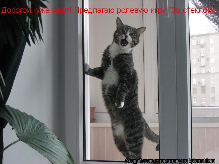 Дорогой, уже март! Предлагаю ролевую игру "За стеклом"!... Котоматрица: Дорогой, уже март! Предлагаю ролевую игру "За стеклом"!