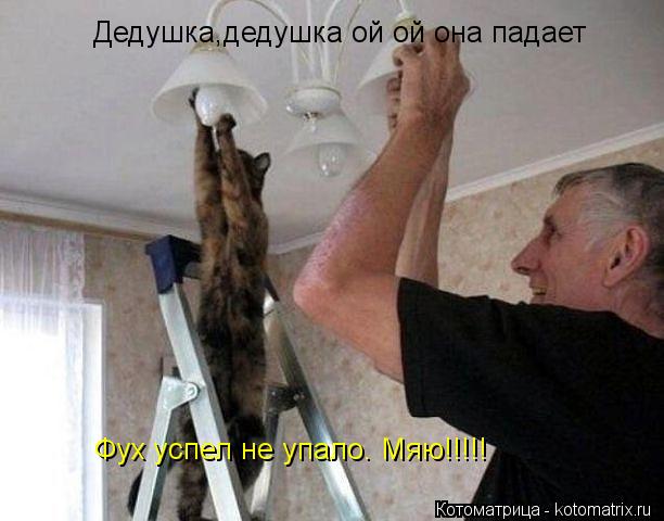 Котоматрица: Дедушка,дедушка ой ой она падает Фух успел не упало. Мяю!!!!!