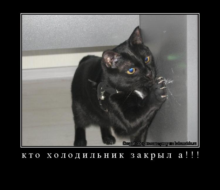 кто холодильник закрыл а!!! ... Котоматрица: кто холодильник закрыл а!!!