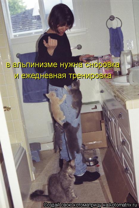в альпинизме нужна сноровка и ежедневная тренировка... Котоматрица: в альпинизме нужна сноровка и ежедневная тренировка