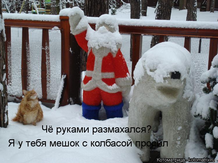 Чё руками размахался? Я у тебя мешок с колбасой просил... Котоматрица: Чё руками размахался? Я у тебя мешок с колбасой просил