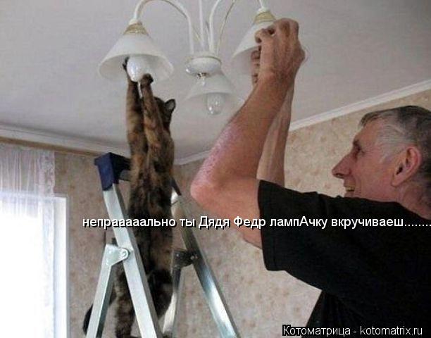 непрааааально ты Дядя Федр лампАчку вкручиваеш............. Котоматрица: непрааааально ты Дядя Федр лампАчку вкручиваеш..........