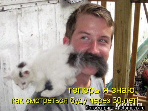 Котоматрица: как смотреться буду через 30 лет! теперь я знаю,