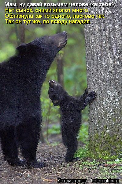 Мам, ну давай возьмем человечка себе? Нет сынок, сними хлопот много. Облизнула как то одного, ласково... Котоматрица: Мам, ну давай возьмем человечка себе? Нет сынок, сними хлопот много. Облизнула как то одного, ласково так. Так он тут же, по всюду нагадил.