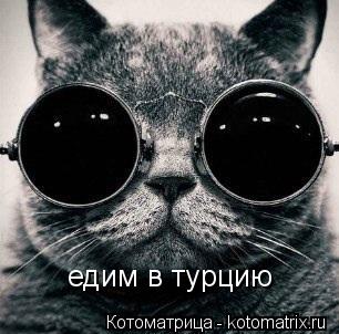 Котоматрица: едим в турцию