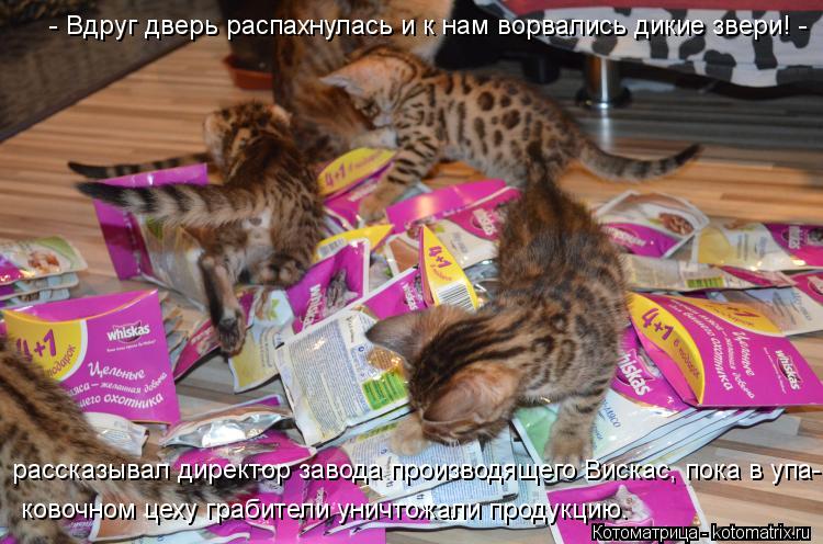 - Вдруг дверь распахнулась и к нам ворвались дикие звери! - ковочном цеху грабители уничтожали проду... Котоматрица: - Вдруг дверь распахнулась и к нам ворвались дикие звери! - ковочном цеху грабители уничтожали продукцию. рассказывал директор завода прои