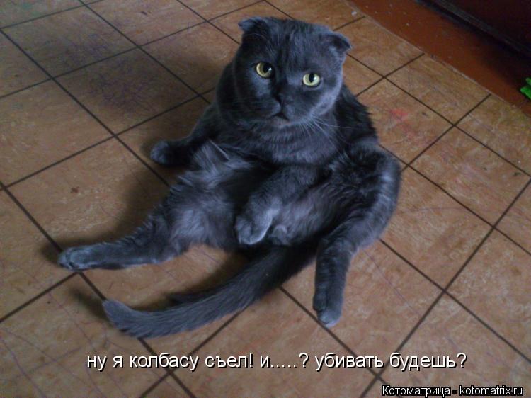 ну я колбасу съел! и.....? убивать будешь?... Котоматрица: ну я колбасу съел! и.....? убивать будешь?