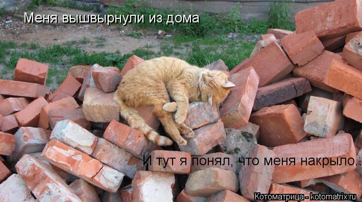 Меня вышвырнули из дома И тут я понял, что меня накрыло...... Котоматрица: Меня вышвырнули из дома И тут я понял, что меня накрыло...