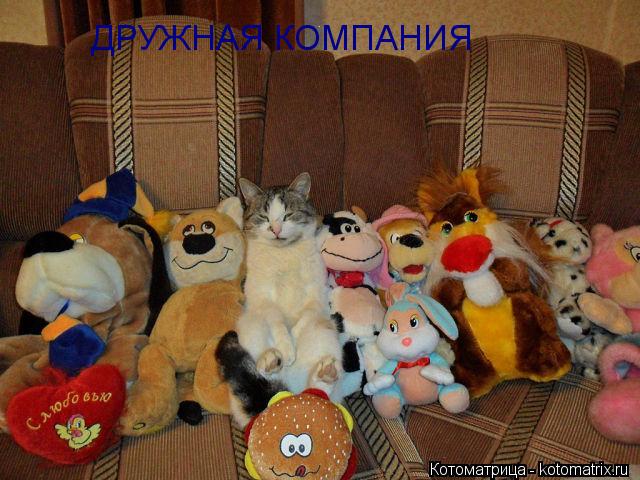 ДРУЖНАЯ КОМПАНИЯ... Котоматрица: ДРУЖНАЯ КОМПАНИЯ