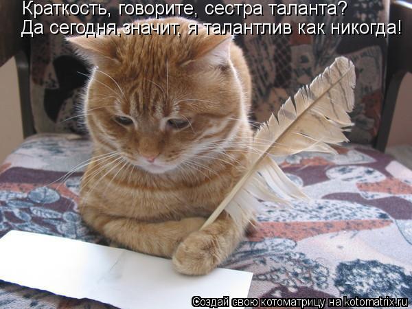 Краткость, говорите, сестра таланта? Да сегодня,значит, я талантлив как никогда!... Котоматрица: Краткость, говорите, сестра таланта? Да сегодня,значит, я талантлив как никогда!