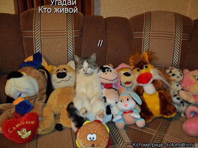 Угадай Кто живой //... Котоматрица: Угадай Кто живой //