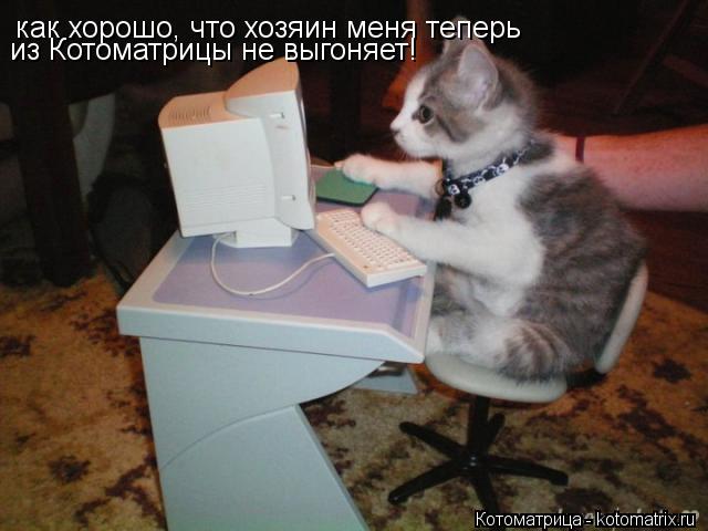 как хорошо, что хозяин меня теперь из Котоматрицы не выгоняет!... Котоматрица: как хорошо, что хозяин меня теперь из Котоматрицы не выгоняет!