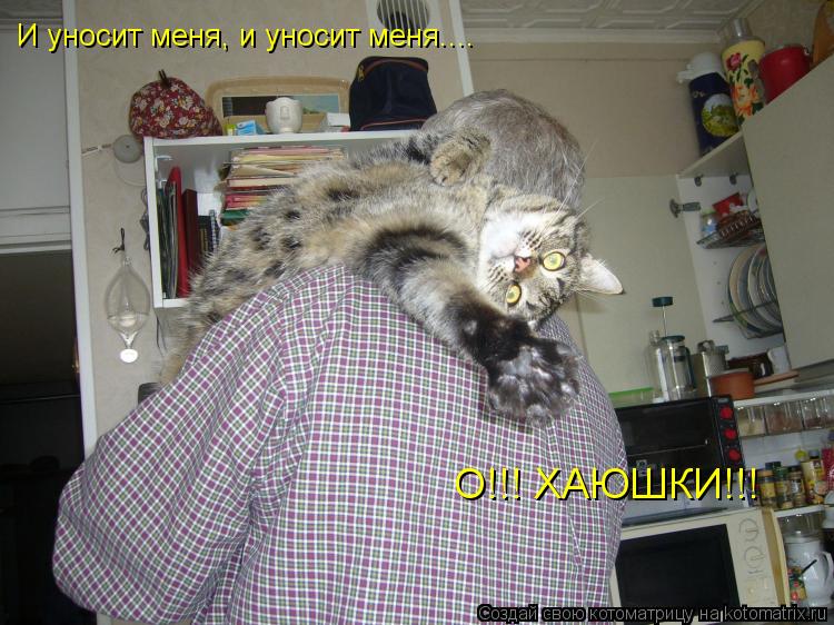 О!!! ХАЮШКИ!!! И уносит меня, и уносит меня....... Котоматрица: О!!! ХАЮШКИ!!! И уносит меня, и уносит меня....