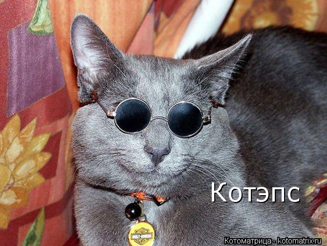Котэпс... Котоматрица: Котэпс