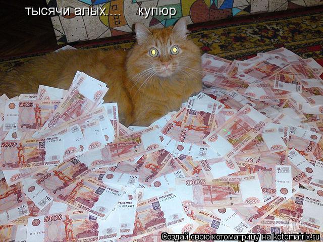 Котоматрица: тысячи алых....    купюр