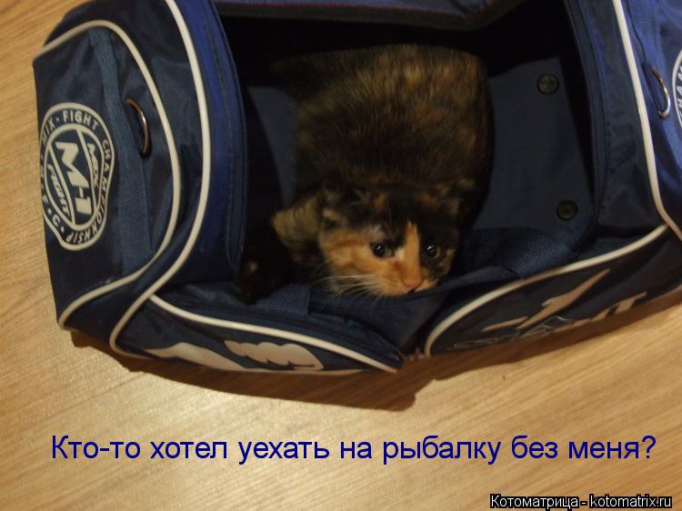 Кто-то хотел уехать на рыбалку без меня?... Котоматрица: Кто-то хотел уехать на рыбалку без меня?