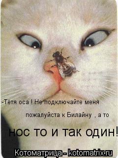-Тётя оса ! Не подключайте меня пожалуйста к Билайну , а то нос то и так один! пожалуйста ... Котоматрица: -Тётя оса ! Не подключайте меня пожалуйста к Билайну , а то нос то и так один! пожалуйста к Билайну , а то нос то и так один! нос то