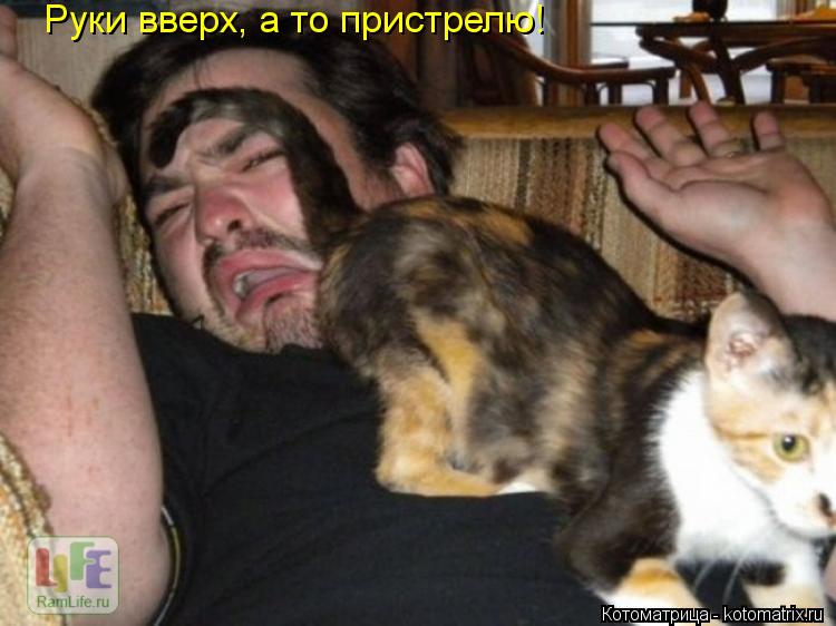 Руки вверх, а то пристрелю!... Котоматрица: Руки вверх, а то пристрелю!