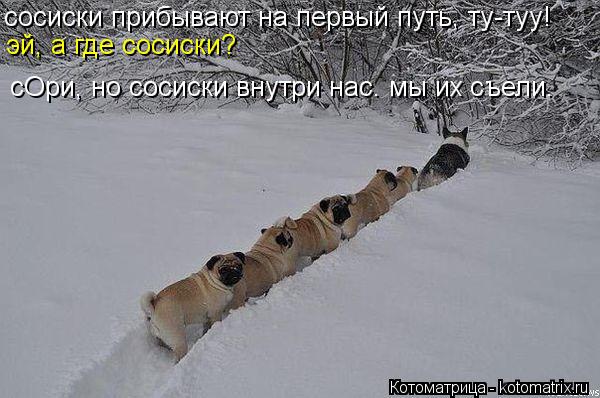 сосиски прибывают на первый путь, ту-туу! эй, а где сосиски? сОри, но сосиски внутри нас. мы их съели... Котоматрица: сосиски прибывают на первый путь, ту-туу! эй, а где сосиски? сОри, но сосиски внутри нас. мы их съели.