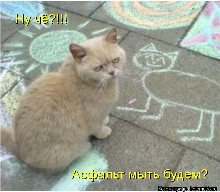 Ну чё?!!! Асфальт мыть будем?... Котоматрица: Ну чё?!!! Асфальт мыть будем?