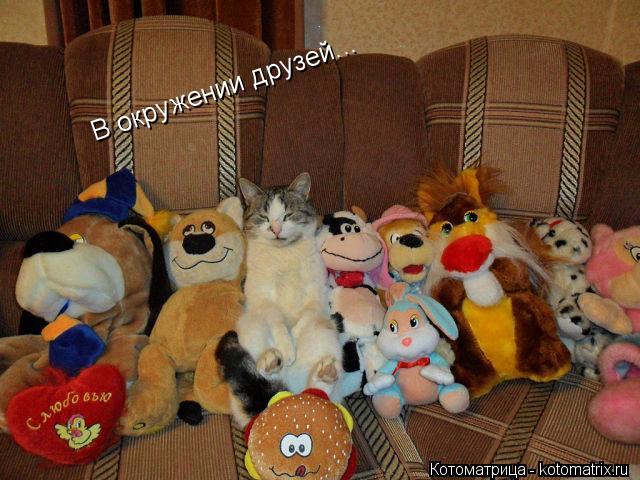 В окружении друзей...... Котоматрица: В окружении друзей...