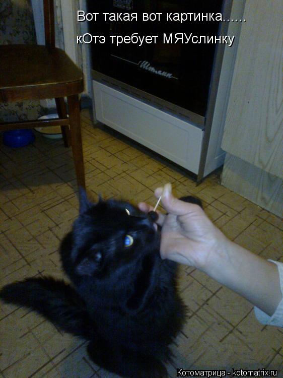 Вот такая вот картинка...... кОтэ требует МЯУслинку... Котоматрица: Вот такая вот картинка...... кОтэ требует МЯУслинку