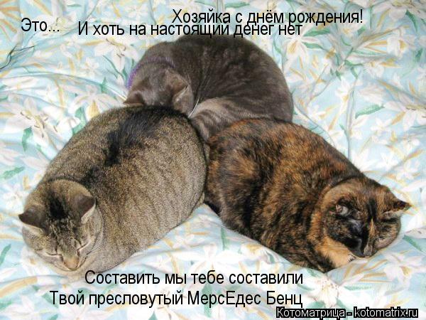 Это... Хозяйка с днём рождения! И хоть на настоящий денег нет Составить мы тебе составили Твой пресл... Котоматрица: Это... Хозяйка с днём рождения! И хоть на настоящий денег нет Составить мы тебе составили Твой пресловутый МерсЕдес Бенц