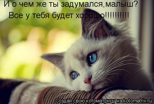 И о чем же ты задумался,малыш? Все у тебя будет хорошо!!!!!!!!!!... Котоматрица: И о чем же ты задумался,малыш? Все у тебя будет хорошо!!!!!!!!!!