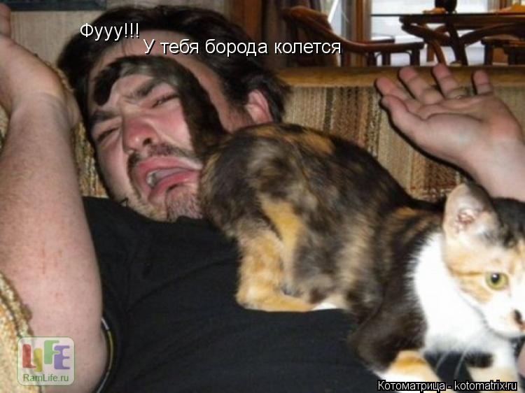Фууу!!! У тебя борода колется... Котоматрица: Фууу!!! У тебя борода колется
