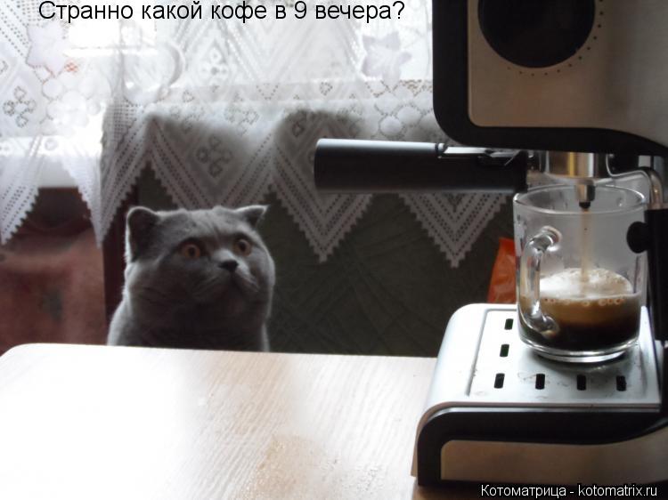 Странно какой кофе в 9 вечера?... Котоматрица: Странно какой кофе в 9 вечера?