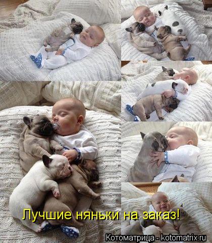 Лучшие няньки на заказ!... Котоматрица: Лучшие няньки на заказ!