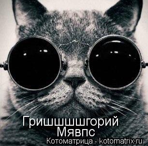 Гришшшшгорий Мявпс... Котоматрица: Гришшшшгорий Мявпс