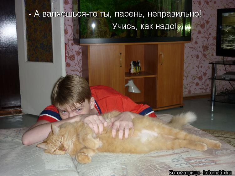 Учись, как надо! - А валяешься-то ты, парень, неправильно!... Котоматрица: Учись, как надо! - А валяешься-то ты, парень, неправильно!