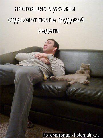 настоящие мужчины отдыхают после трудовой недели... Котоматрица: настоящие мужчины отдыхают после трудовой недели