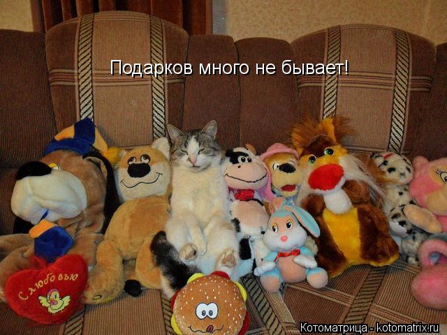Подарков много не бывает!... Котоматрица: Подарков много не бывает!
