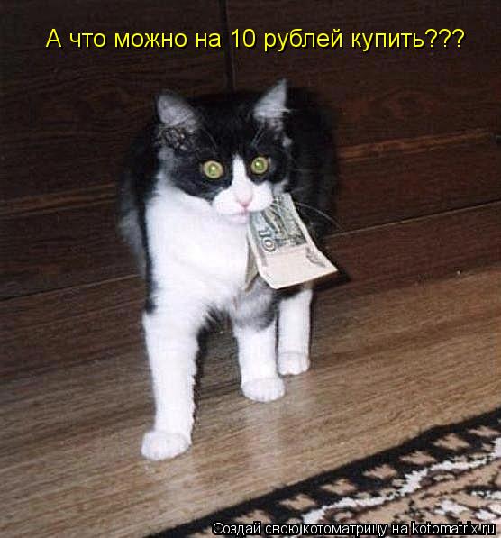 А что можно на 10 рублей купить???... Котоматрица: А что можно на 10 рублей купить???