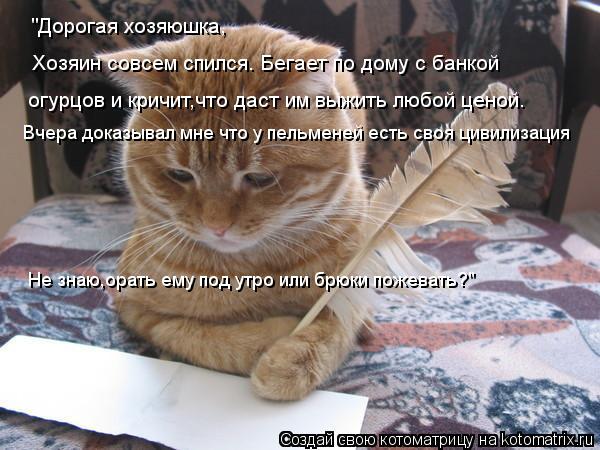 "Дорогая хозяюшка, Хозяин совсем спился. Бегает по дому с банкой огурцов и кричит,что даст им выжить ... Котоматрица: "Дорогая хозяюшка, Хозяин совсем спился. Бегает по дому с банкой огурцов и кричит,что даст им выжить любой ценой. Вчера доказывал мне что у п