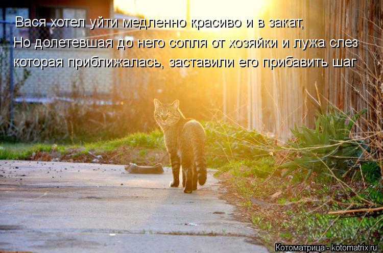 Вася хотел уйти медленно красиво и в закат, Но долетевшая до него сопля от хозяйки и лужа слез котора... Котоматрица: Вася хотел уйти медленно красиво и в закат, Но долетевшая до него сопля от хозяйки и лужа слез которая приближалась, заставили его прибавит