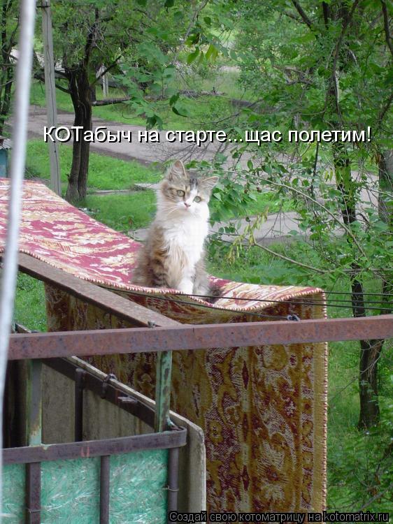 КОТабыч на старте...щас полетим!... Котоматрица: КОТабыч на старте...щас полетим!