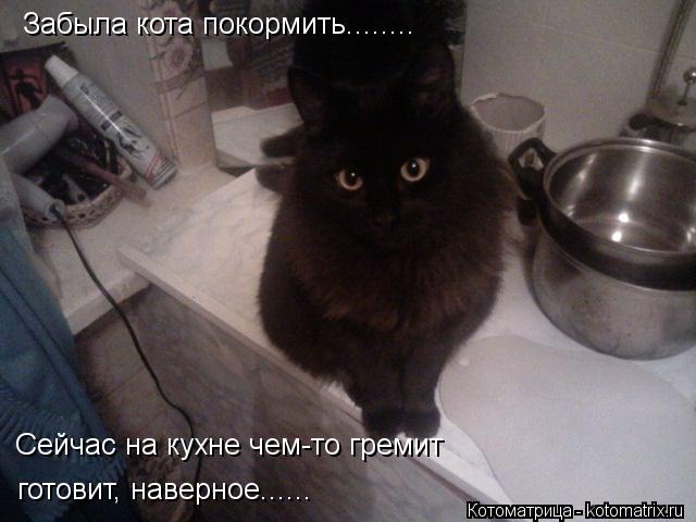 Забыла кота покормить........ Сейчас на кухне чем-то гремит готовит, наверное......... Котоматрица: Забыла кота покормить........ Сейчас на кухне чем-то гремит готовит, наверное......