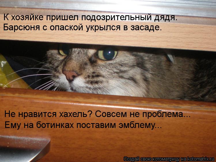 Не нравится хахель? Совсем не проблема... Ему на ботинках поставим эмблему... К хозяйке пришел подозр... Котоматрица: Не нравится хахель? Совсем не проблема... Ему на ботинках поставим эмблему... К хозяйке пришел подозрительный дядя. Барсюня с опаской укрылся