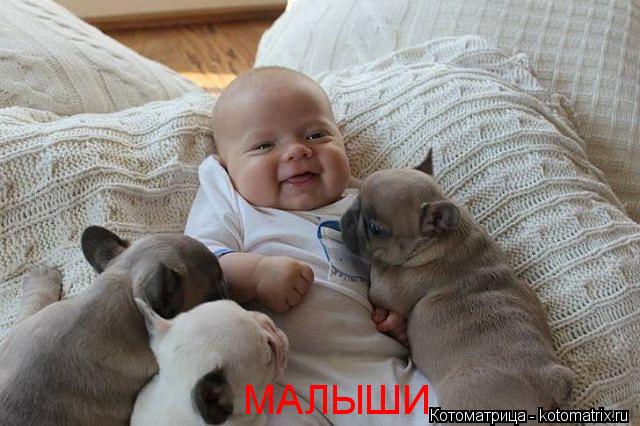 МАЛЫШИ... Котоматрица: МАЛЫШИ