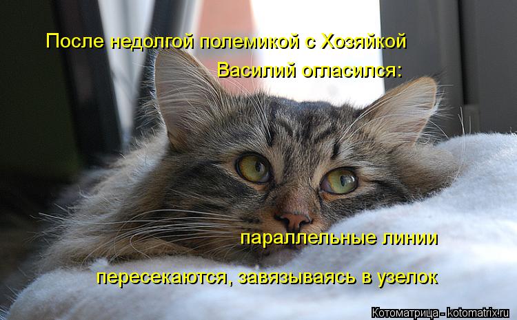 После недолгой полемикой с Хозяйкой параллельные линии пересекаются, завязываясь в узелок Василий огл... Котоматрица: После недолгой полемикой с Хозяйкой параллельные линии пересекаются, завязываясь в узелок Василий огласился:
